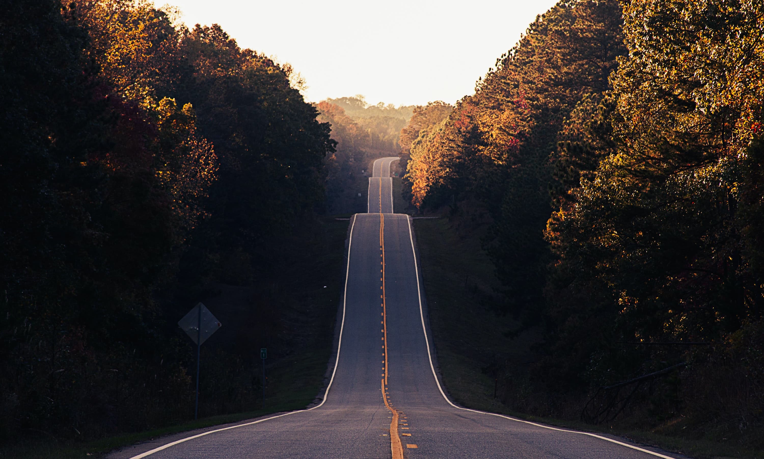 How to succeed and accelerate your career as a developer.